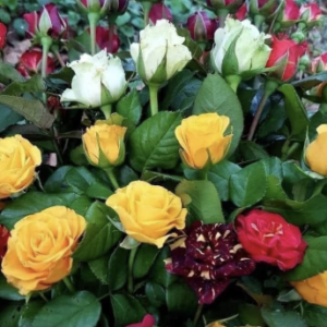 A bouquet featuring a luxurious mix